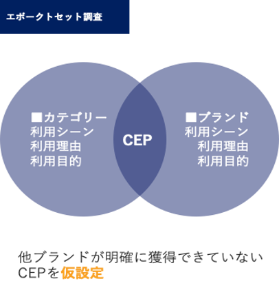 エボークトセット調査イメージ